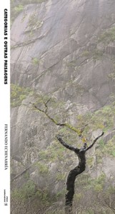 Fernando Echevarria: Categorias e outras paisagens